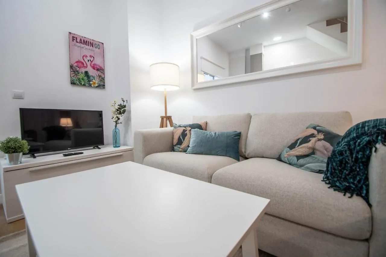 Duplex Flamingo Cadiz Apartment Spain